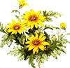 Flower yellow daisy